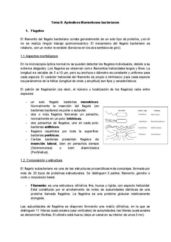 Miniatura del documento Tema-8-Apendices-filamentosos-bacterianos.pdf