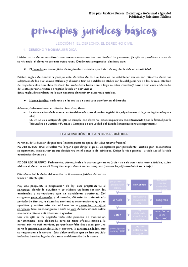 Miniatura del documento Principios-juridicos-basicos-t1.pdf