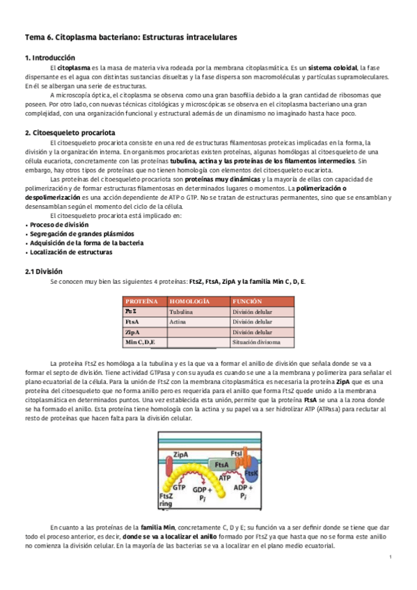 Miniatura del documento Tema-6-Citoplasma-bacteriano.pdf