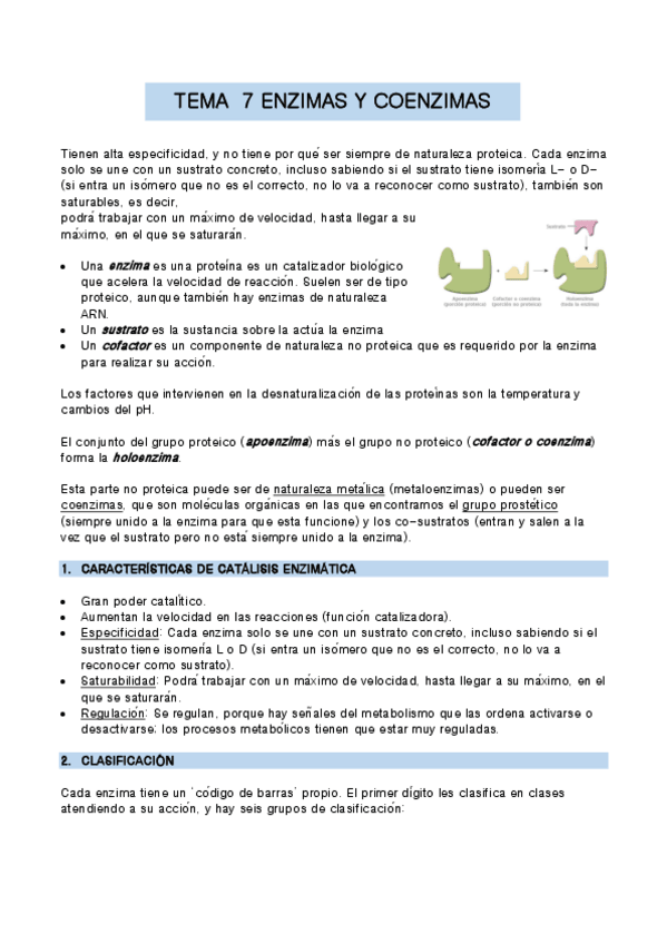 Miniatura del documento TEMA-7-biologia-molec.pdf