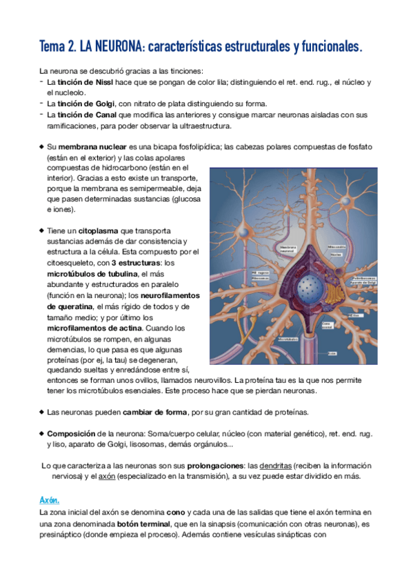 Miniatura del documento Neurociencia.pdf