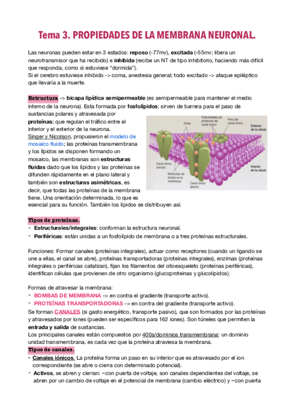 Miniatura del documento Neurociencia.pdf