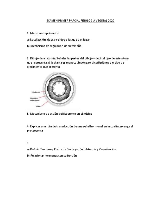 Miniatura del documento Primer-parcial-2020.pdf
