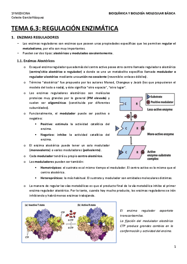 Miniatura del documento TEMA-6.pdf