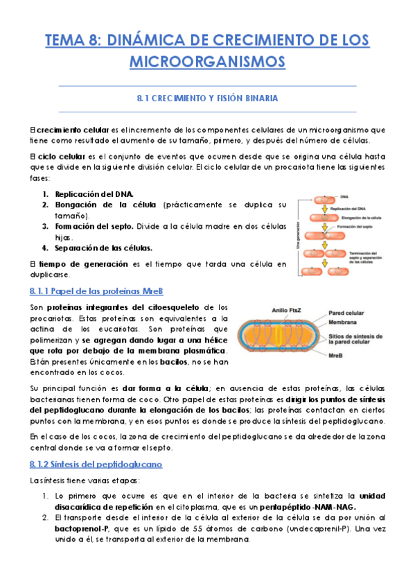 Miniatura del documento TEMA-8.pdf