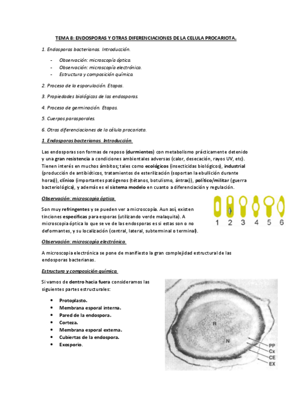 Miniatura del documento TEMA-8-apuntes-completos.pdf