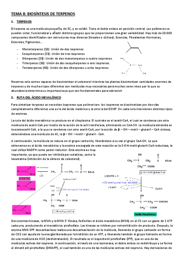 Miniatura del documento BIOSINTESIS-DE-TERPENOS.pdf
