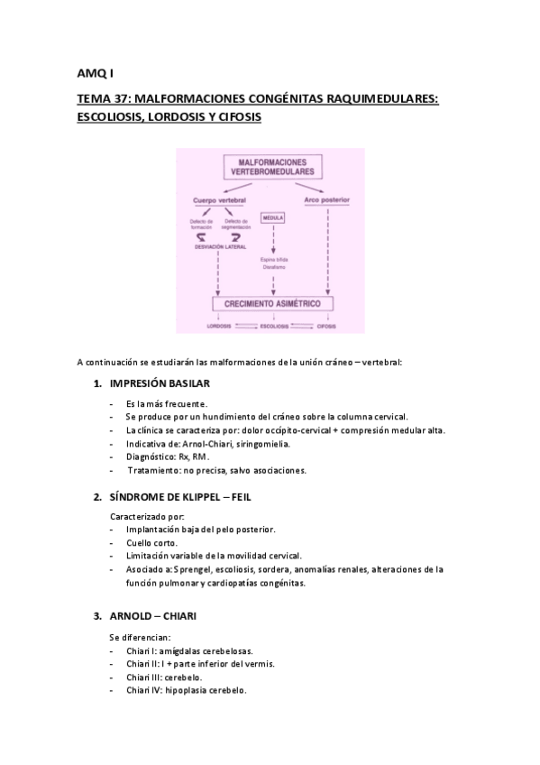 Miniatura del documento RESUMEN-TEMA-37.pdf