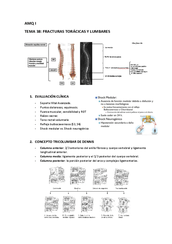 Miniatura del documento RESUMEN-TEMA-38.pdf