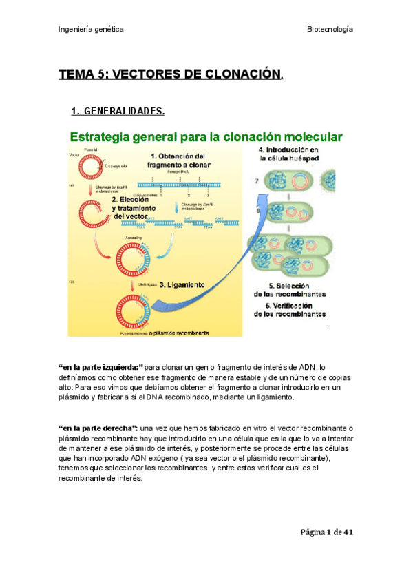 Miniatura del documento TEMA-5.pdf