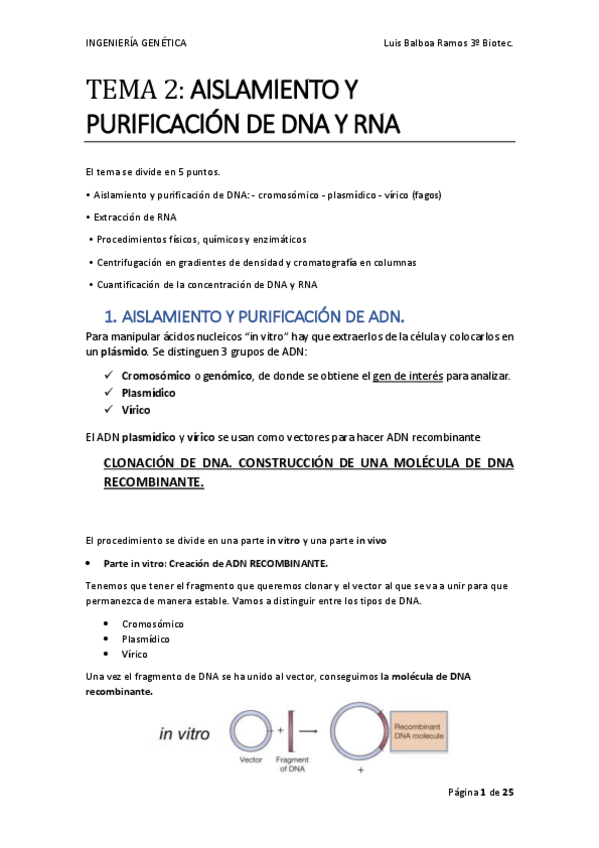 Miniatura del documento TEMA-2-ING-GENETICA.pdf