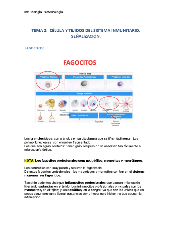 Miniatura del documento TEMA-2.pdf