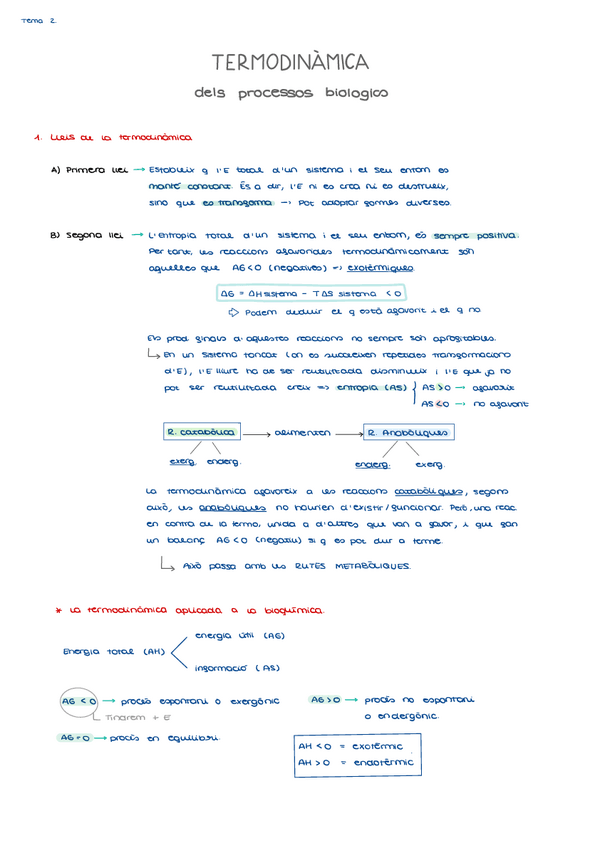 Miniatura del documento T2.pdf