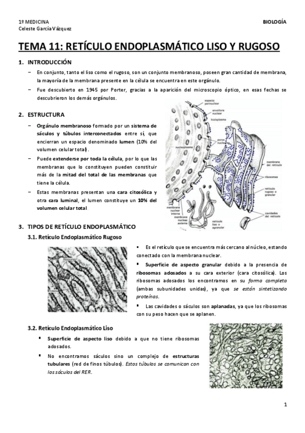 Miniatura del documento TEMA-11-1.pdf