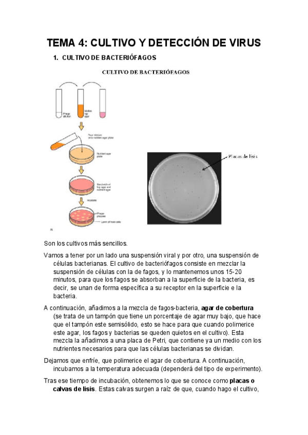 Miniatura del documento TEMA-4-1.pdf