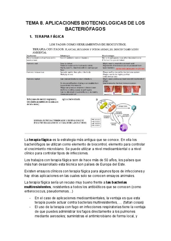 Miniatura del documento TEMA-8.pdf