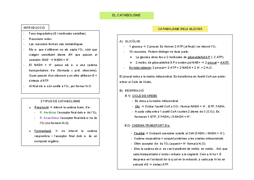 Miniatura del documento Catabolisme.pdf