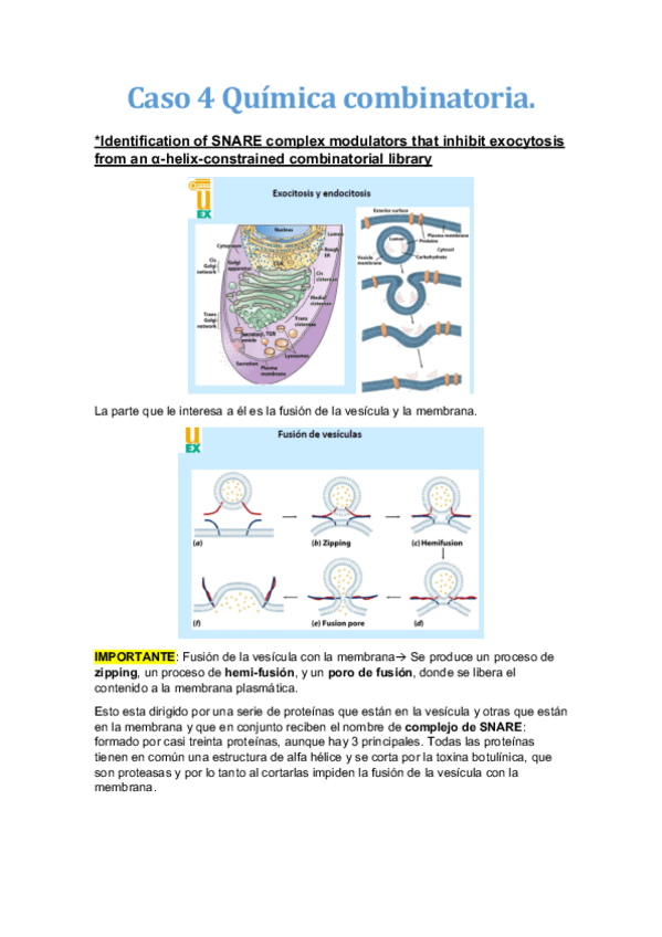 Miniatura del documento Caso-4-Quimica-combinatoria.pdf