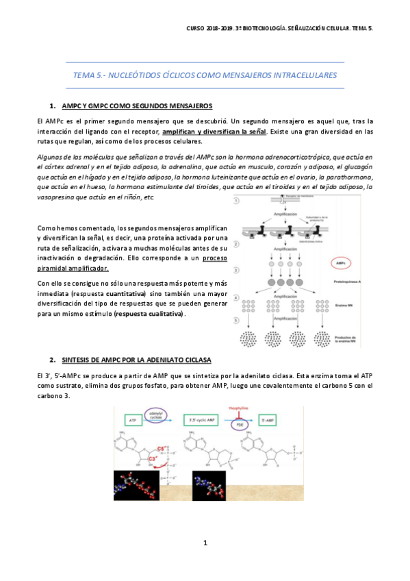 Miniatura del documento TEMA-5-3.pdf