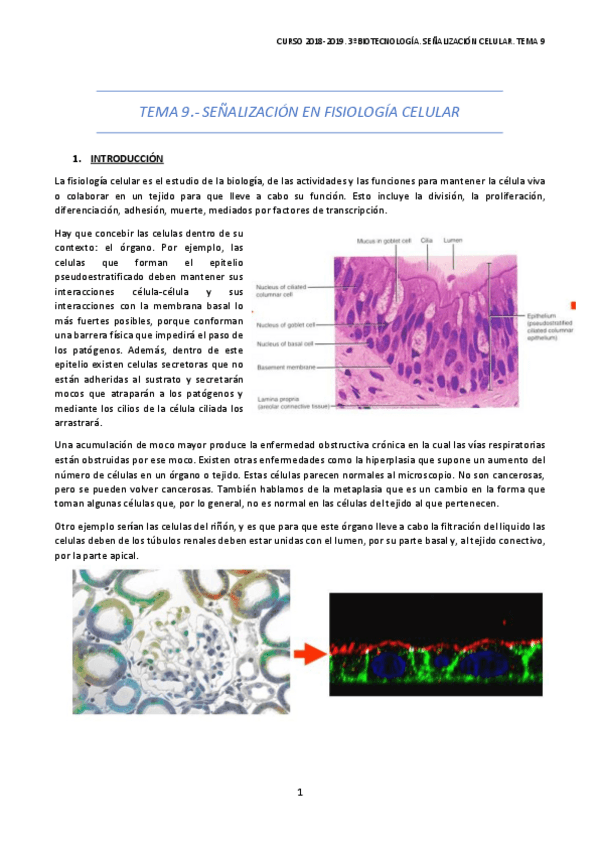 Miniatura del documento TEMA-9-1.pdf