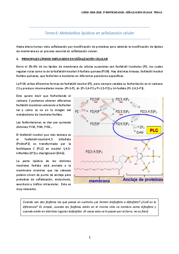Miniatura del documento TEMA-6-1.pdf