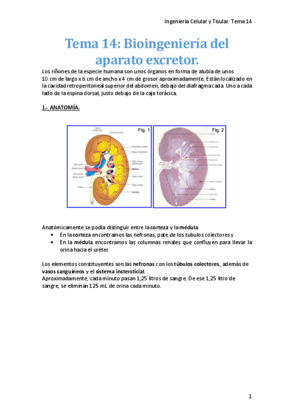 Miniatura del documento Tema-14-ING.pdf