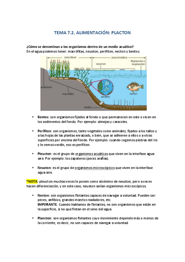 Miniatura del documento TEMA-7.pdf