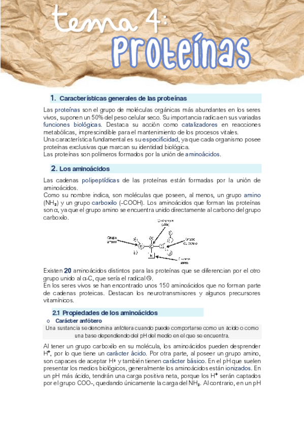 Miniatura del documento TEMA-4-PROTEINAS.pdf