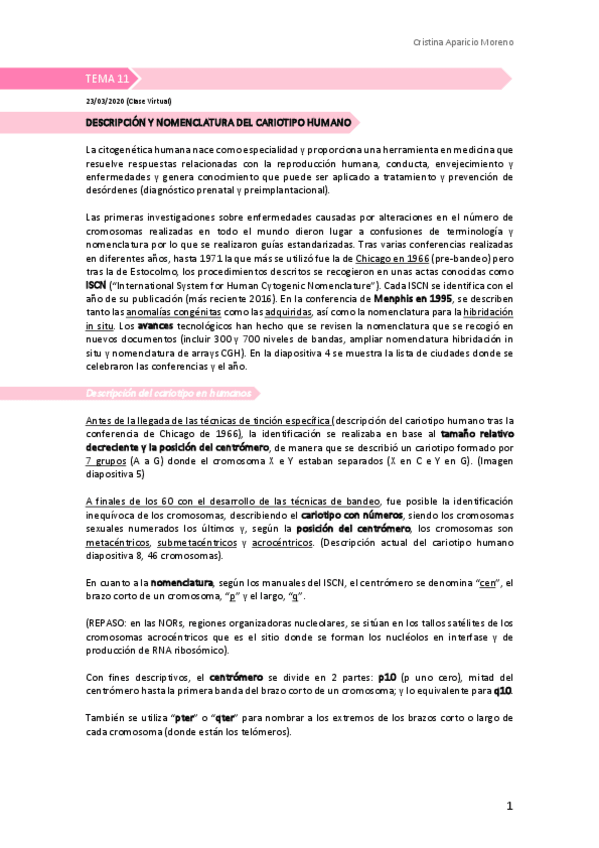 Miniatura del documento Tema-11-definitivo.pdf