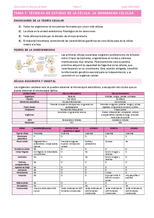 Miniatura del documento TEMA-7.pdf