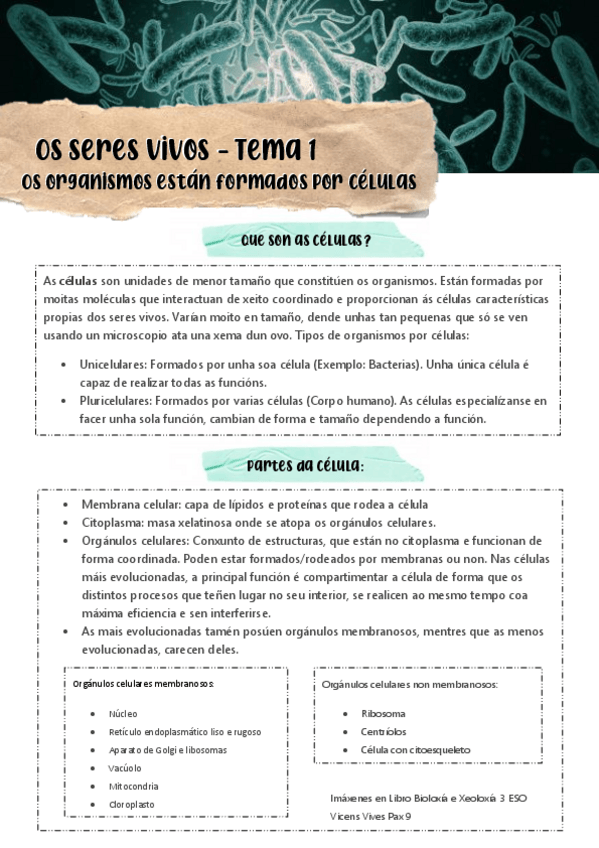 Miniatura del documento Tema-1-Apartado-2.pdf