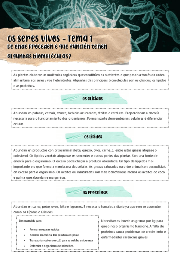 Miniatura del documento Tema-1-Apartado-1.pdf