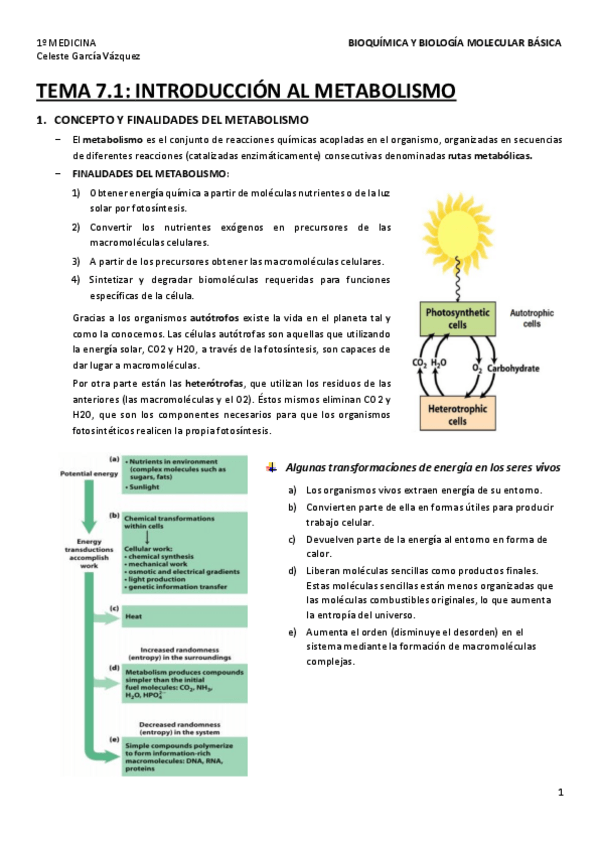 Miniatura del documento TEMA-7.pdf