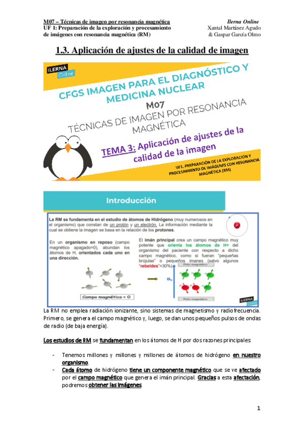 Miniatura del documento UF1.pdf