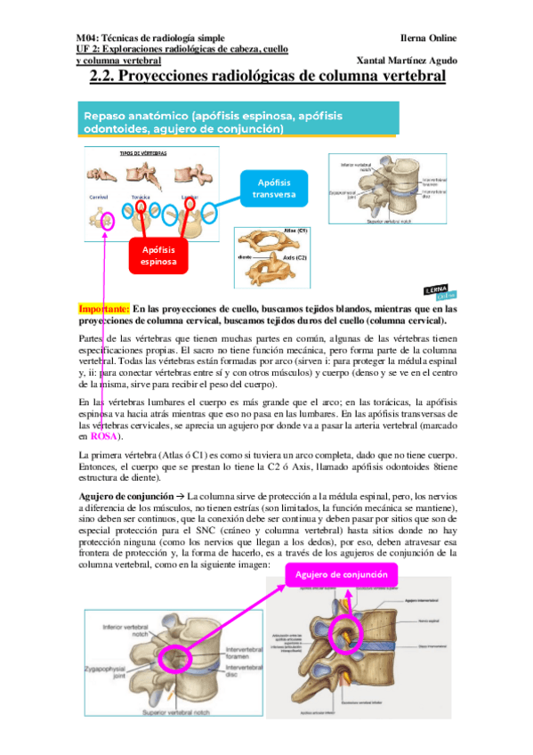 Miniatura del documento UF2.pdf
