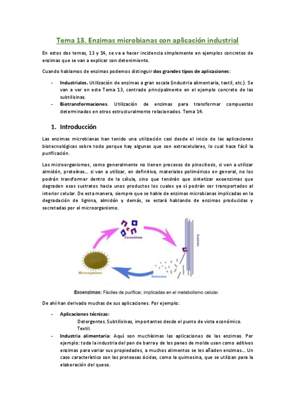Miniatura del documento Tema-13.pdf