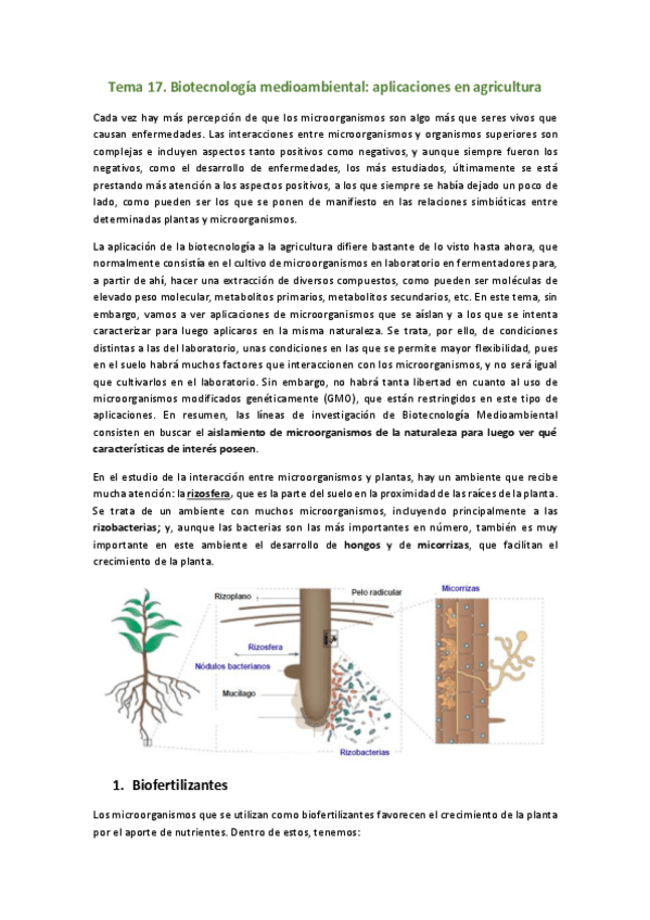Miniatura del documento Tema-17.pdf