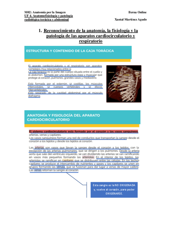 Miniatura del documento UF4.pdf