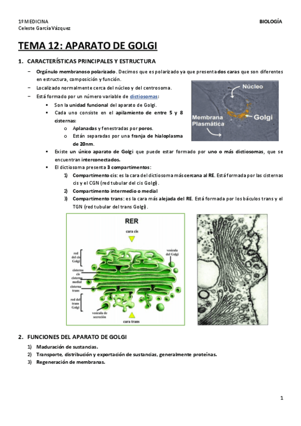 Miniatura del documento TEMA-12-1.pdf