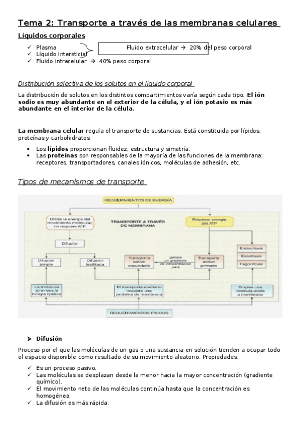 Miniatura del documento Tema-2.docx
