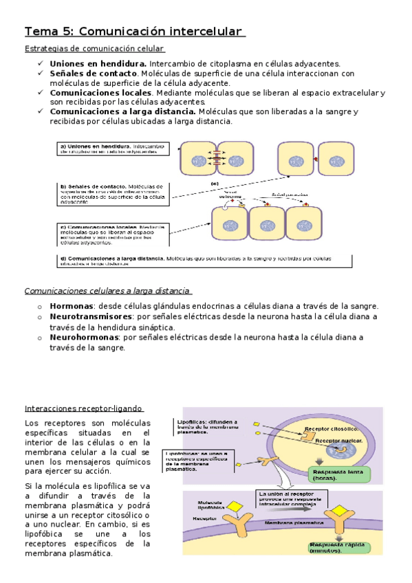 Miniatura del documento Tema-5.docx