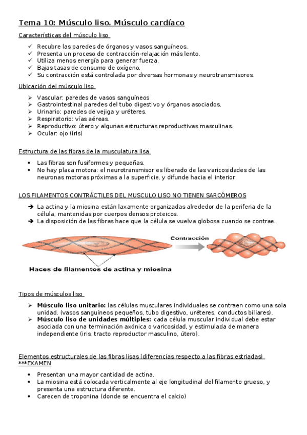 Miniatura del documento Tema-10.docx