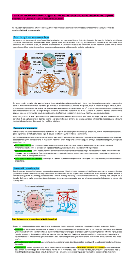 Miniatura del documento Tema-20.pdf