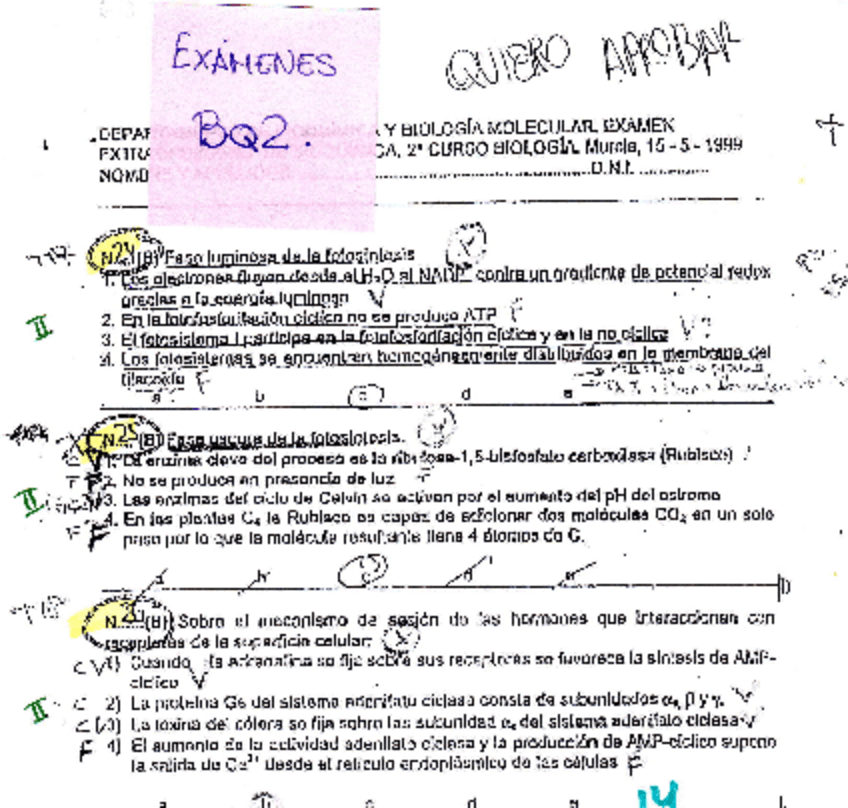 Miniatura del documento Examenes-bioquimica.pdf