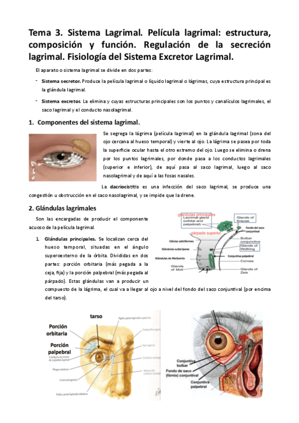 Miniatura del documento MT3. Sistema Lagrimal.pdf