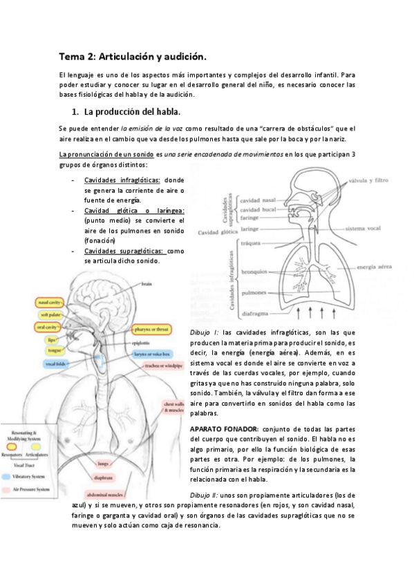 Miniatura del documento 2.pdf