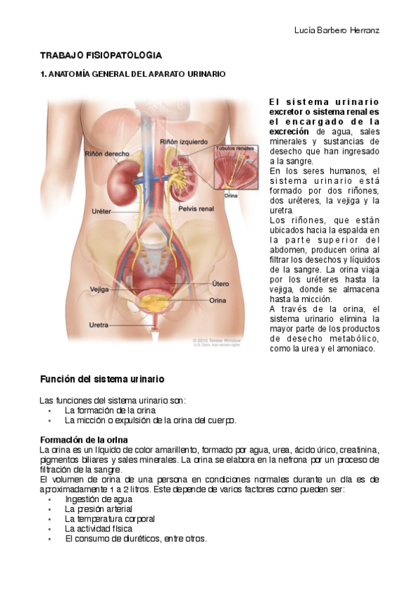 Miniatura del documento TRABAJO-FISIOPATOLOGIA.pdf