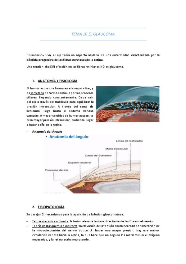 Miniatura del documento TEMA-10-EL-GLAUCOMA.pdf