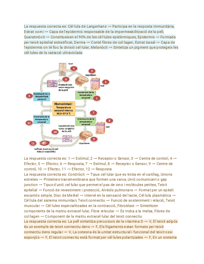 Miniatura del documento Resp-BONUS.pdf