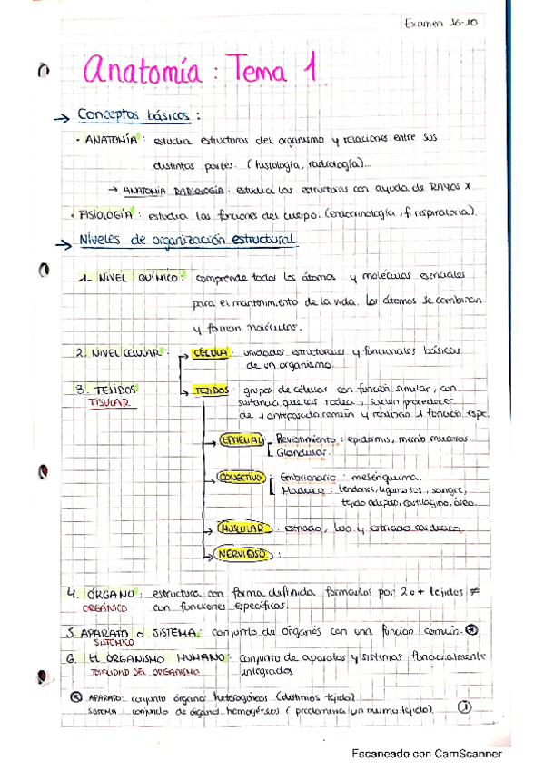 Miniatura del documento TEMA-1-ANATOMIA.pdf